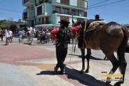 Desfile Caballos 047